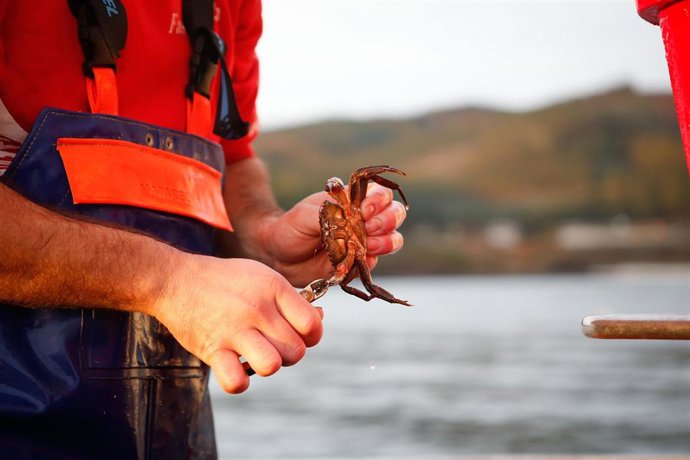 Archivo - Un marinero muestra parte de la pesca del día durante una salida a faenar del barco ‘Mariñeiro 2’, a 27 de diciembre de 2023, en Lugo, Galicia (España). 