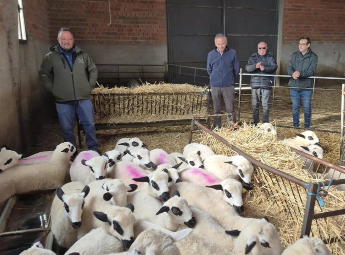 Ávila lidera las ayudas para la promoción de la cría de razas autóctonas, seguida de Salamanca y Zamora .