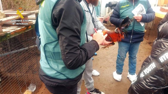 Vídeo de la noticia