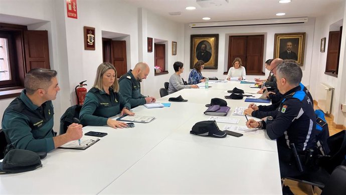 Reunión de la Comisión Mixta de Violencia de Género de Siero y de Noreña.