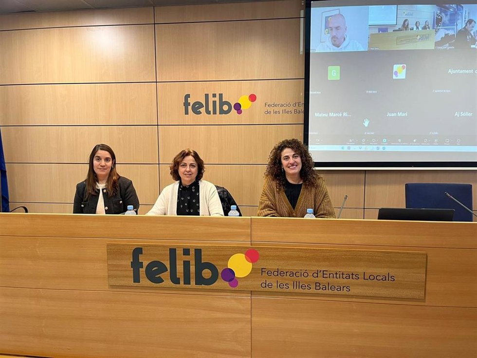 La directora general de Movilidad, Lorena del Valle, en la reunión de este viernes con los ayuntamientos de Baleares.
