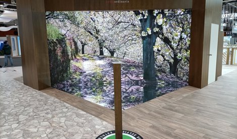 Comunicados Sociedad