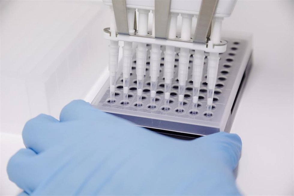 Archivo - Un laboratorio realiza una prueba PCR, en una imagen de archivo.