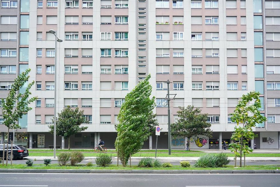 Archivo - Árboles moviéndose a causa del viento en Vitoria