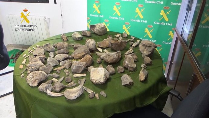 La Guardia Civil recupera más de 100 restos de mamuts expoliados de un yacimiento de Granada