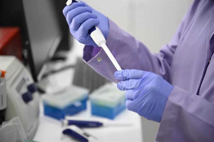 Archivo - Imagen de trabajo en el laboratorio en el Centro de Empresas e Innovación de la Región de Murcia (Ceeim).