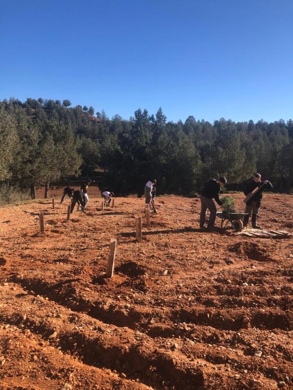 Alumnos del centro de formación profesional "San Blas" realizan una plantación.