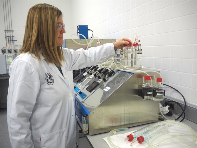 La investigadora Lourdes Martínez Cartas.