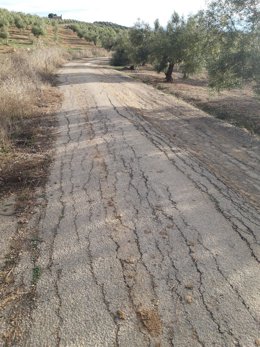 Imagen de la vía Verde de Jaén del Aceite en Jaén.