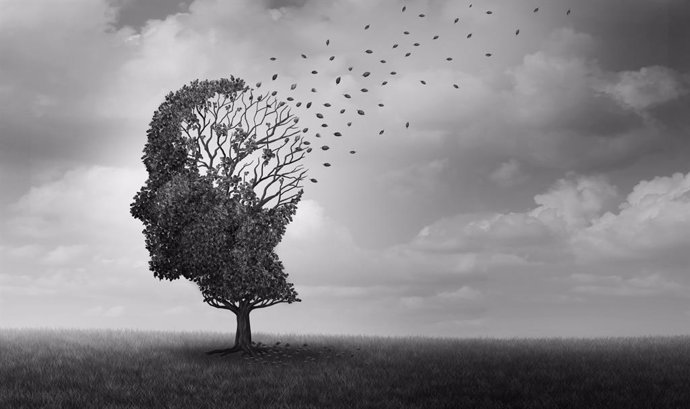 Archivo - Alzheimer disease as a neuropathology memory loss due to brain degeneration and decline as a surreal medical neurology illness concept.