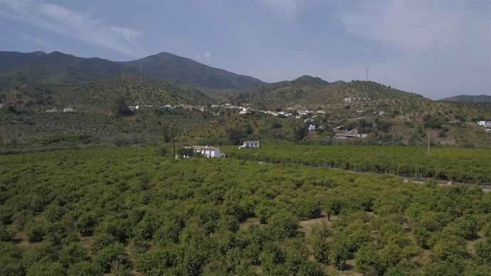 La Diputación de Málaga participa en un proyecto europeo para combatir la sequía y prevenir las inundaciones.