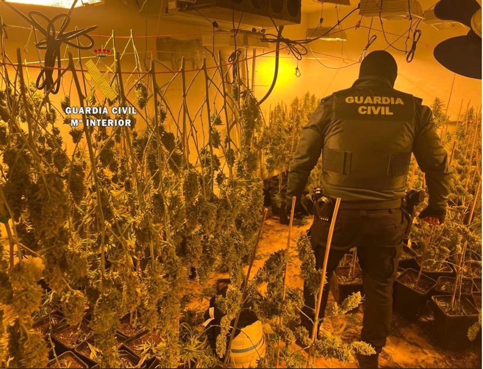La Guardia Civil desmantela una plantación de cultivo de marihuana indoor en Cártama y detiene a siete personas por delitos contra la salud pública, defraudación de fluido eléctrico, tenencia ilícita de armas y pertenencia a organización criminal.