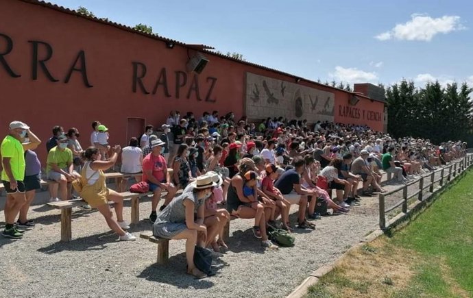 Archivo - Tierra Rapaz