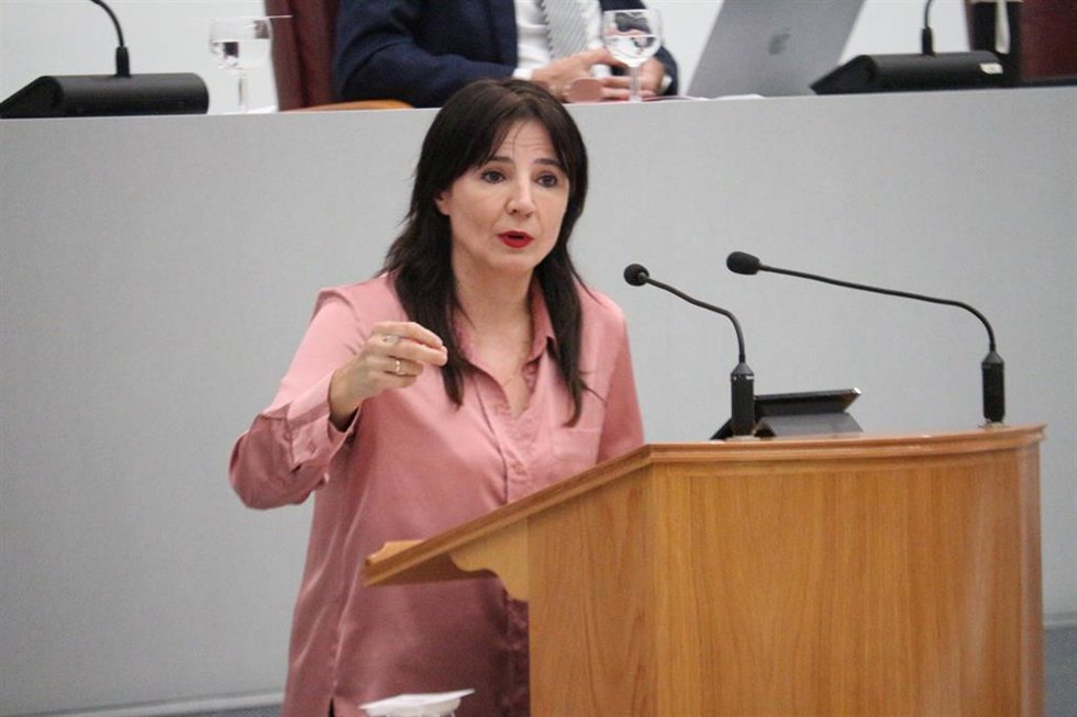 Archivo - El PSOE pide a López Miras que se hagan las contrataciones necesarias para afrontar el aumento de la incidencia de gripe