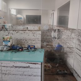 Imagen de un centro veterinario dañado por la dana