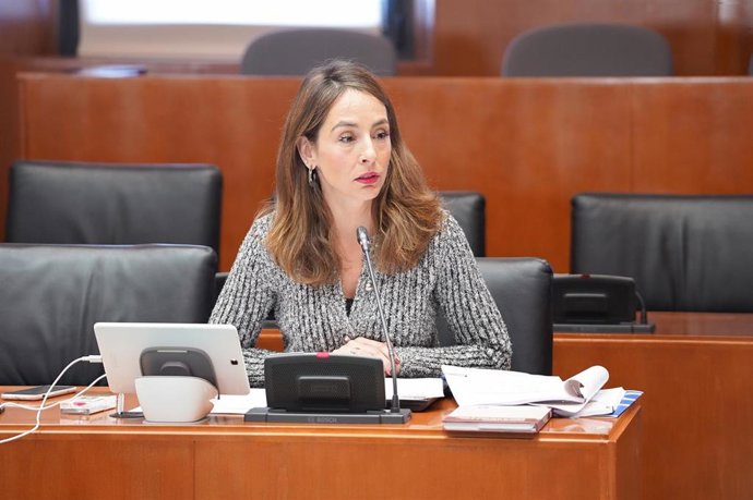 María Navarro, portavoz adjunta del PP.