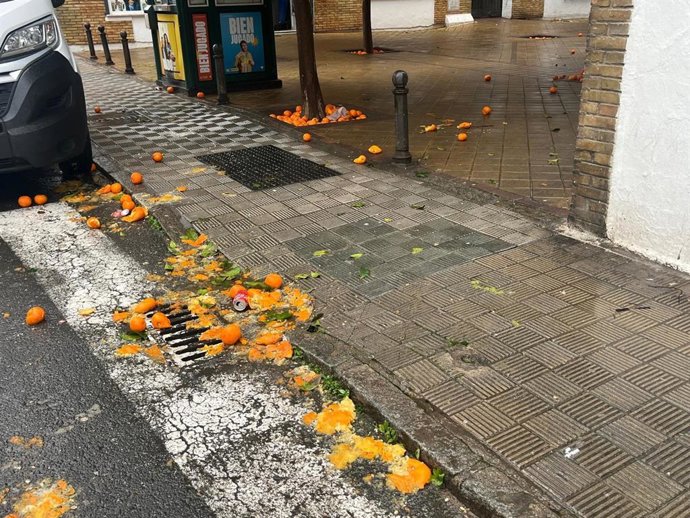 Naranjas caídas y aplastadas en una de las calles de la ciudad.