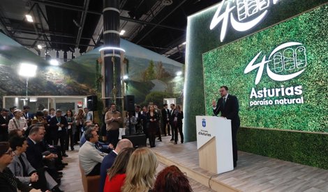 Fitur