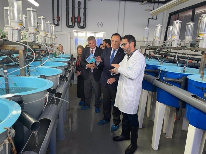 El consejero de Investigación, José Carlos Gómez Villanados, en el Centro Tecnológico de Acuicultura de Andalucía en El Puerto.