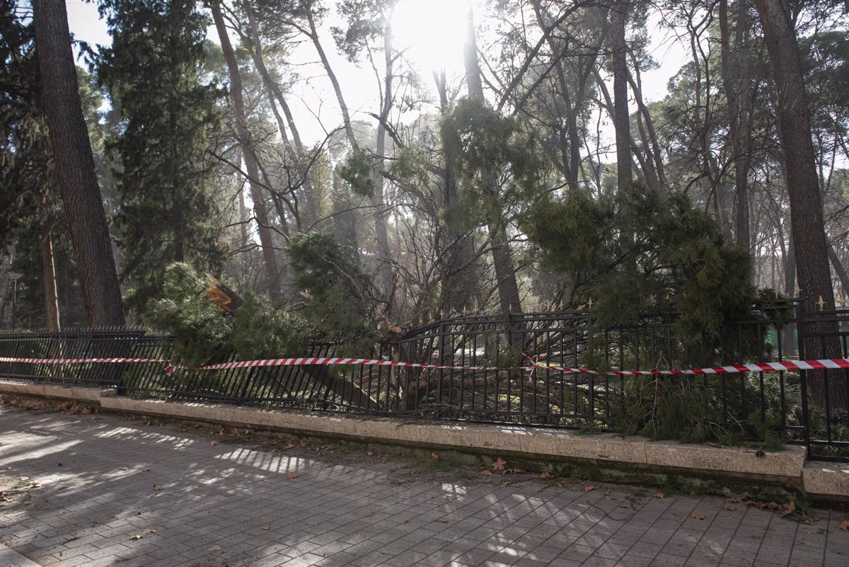 Albacete cierra los parques y suspende las clases y actividades por las fuertes rachas de viento