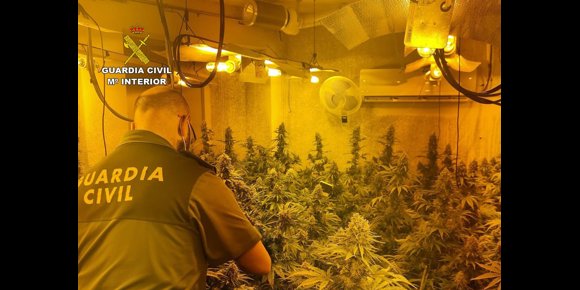 2. Desarticulado un importante centro de producción y almacenaje de marihuana en La Zubia (Granada)
