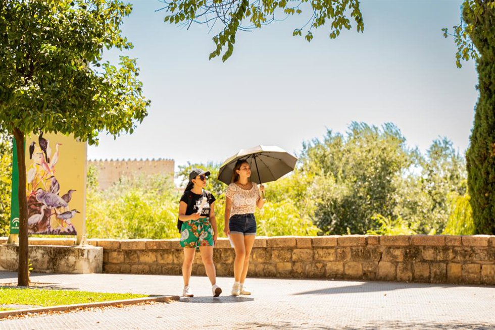 Personas pasean durante un día soleado.