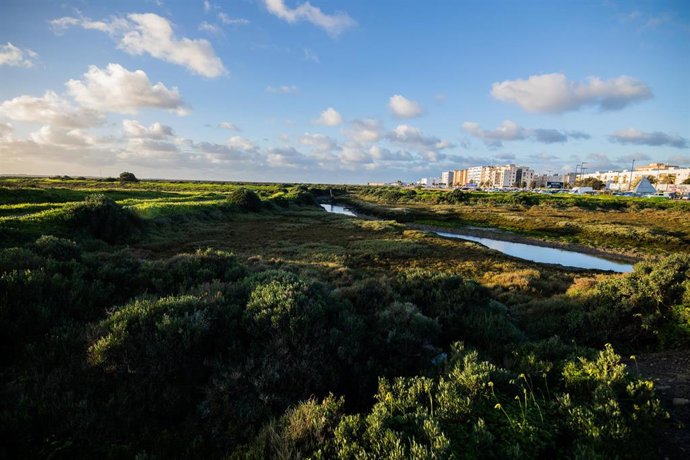 Sendero del Carrascón en la localidad gaditana de San Fernando.