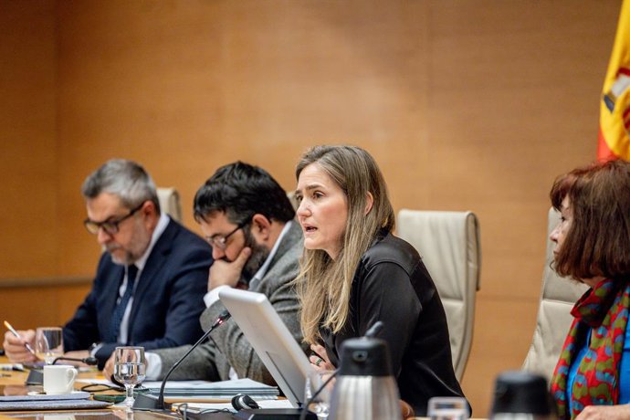 La vicepresidenta tercera del Govern i ministra per a la Transició Ecològica i Repte Demogràfic, Sara Aagesen, al Congrés dels Diputats, a 27 de gener del 2025, a Madrid (Espanya). 
