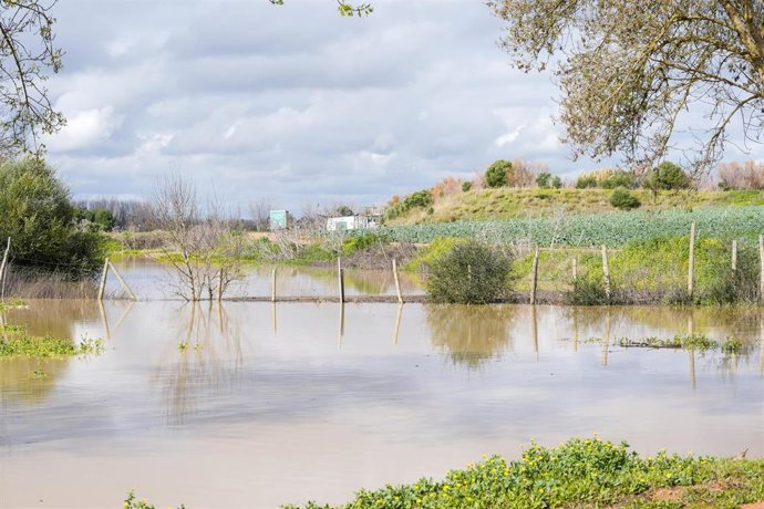 Imágenes del Vado del Quema inundado, a 23 de enero de 2025 en Sevilla.