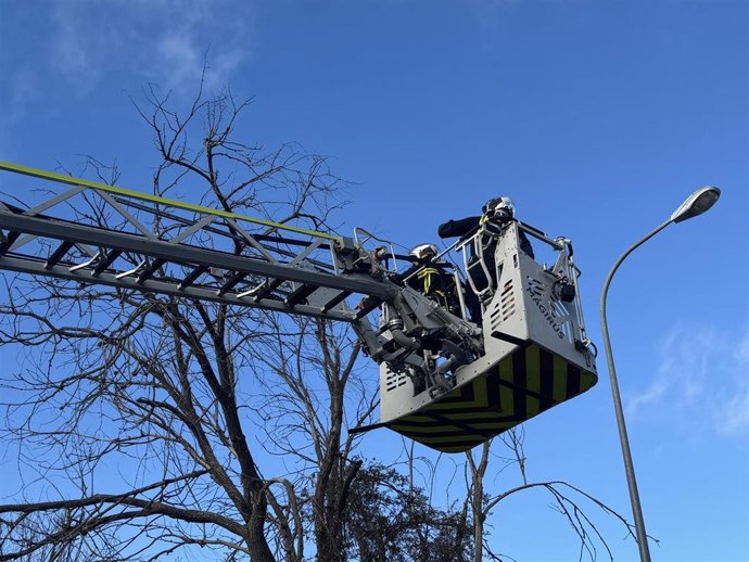 Una de las intervenciones de lo sBomberos de la Comunidad de Madrid por la borrasca 'Herminia'