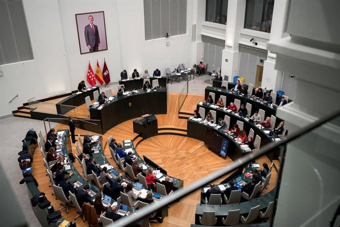 Archivo - Sesión extraordinaria del Pleno municipal, en el Palacio de Cibele