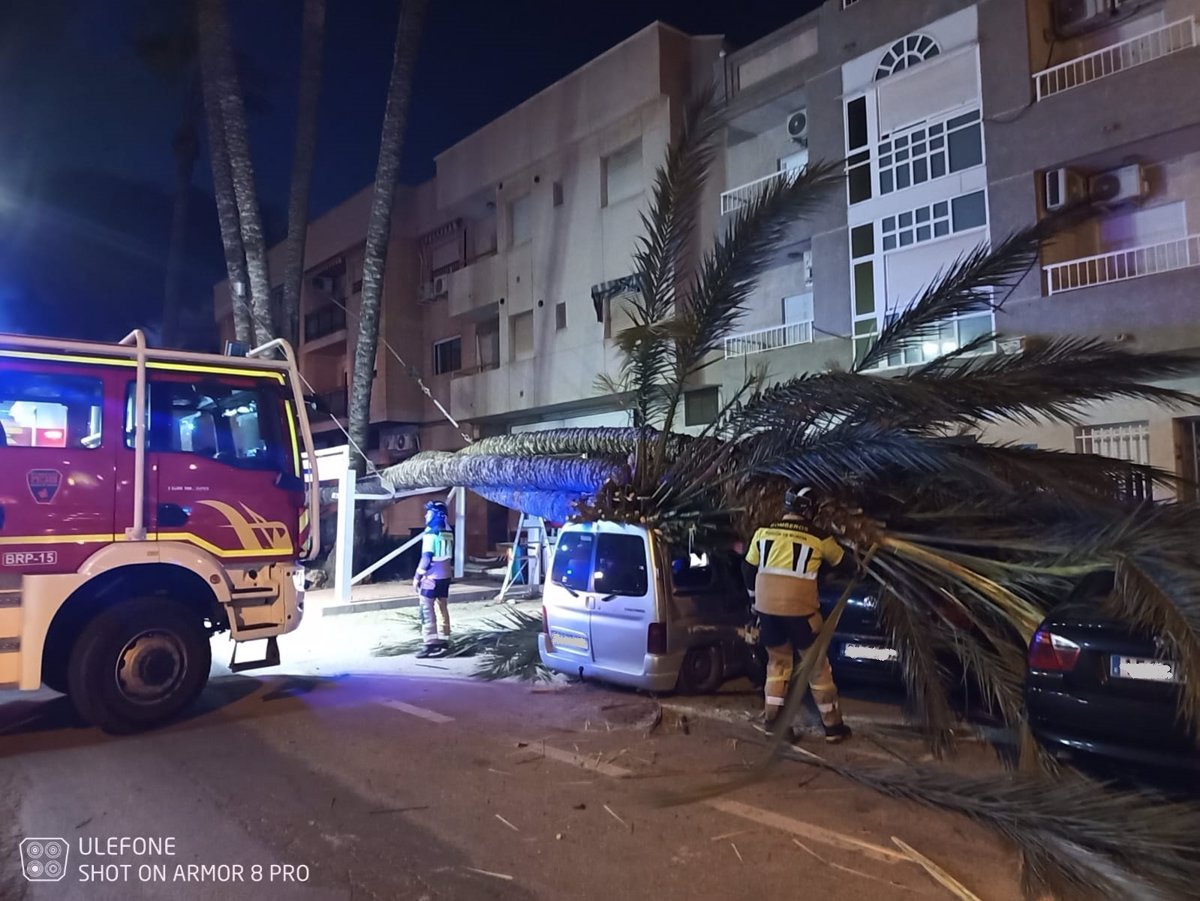 El Centro de Coordinación de Emergencias gestiona 78 asuntos relacionados con el viento desde este lunes