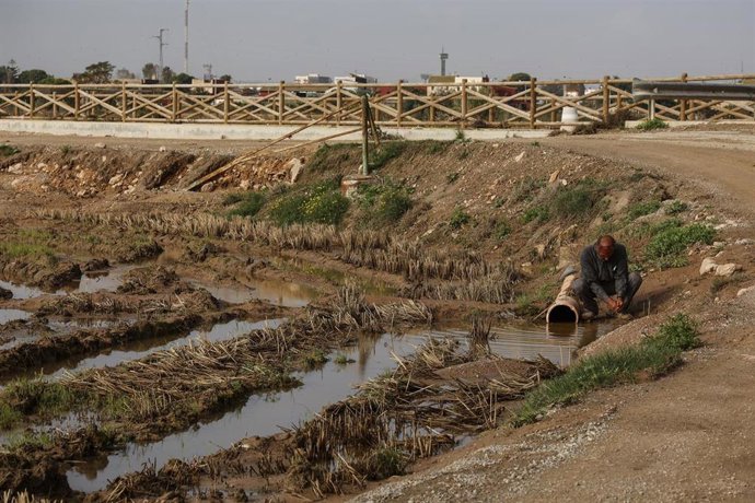Archivo - Estragos ocasionados por la DANA en un campo de cultivo en Valencia