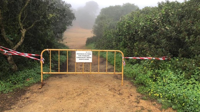 Trabajos forestales para crear un cortafuegos natural en el pinar de las Canteras de Puerto Real (Cádiz).