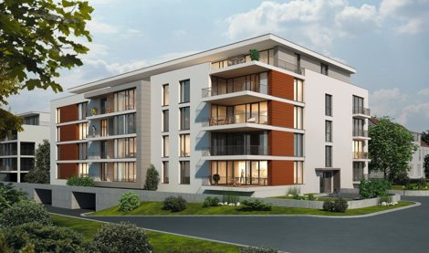 Comunicados Sociedad