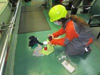 Transportes abre once sanciones a buques por no usar combustible bajo en azufre, el 1% de los inspeccionados