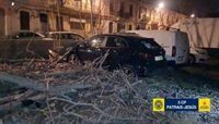 Emergencias recibe 862 llamadas desde el inicio del episodio de viento, que deja rachas de 87 km/h en Manises