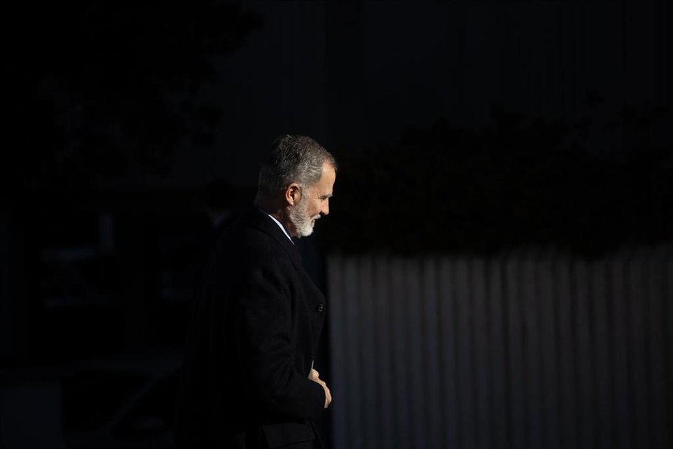 El Rey Felipe VI 