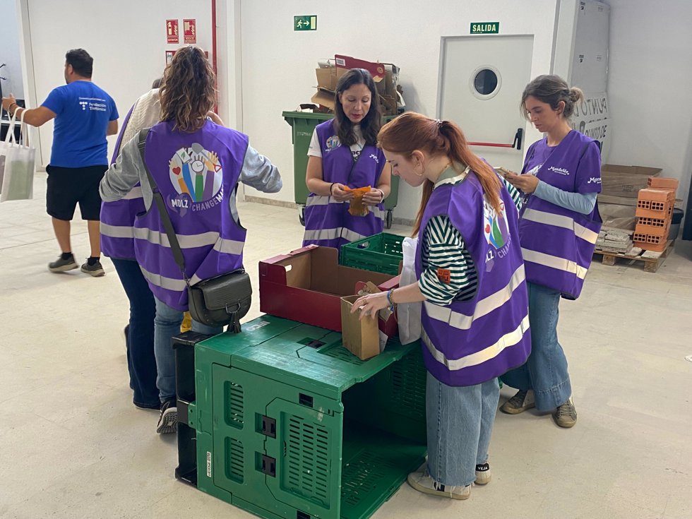 Ndp Mondelz España Contribuye Con Más De 550 Horas De Voluntariado A Causas Sociales Y Medioambientales En 2024