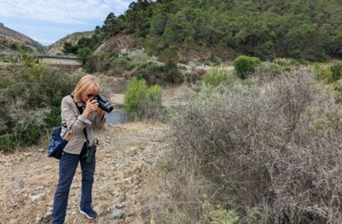 Un proyecto de ciencia ciudadana rastrea la expansión de una avispa invasora en Andalucía