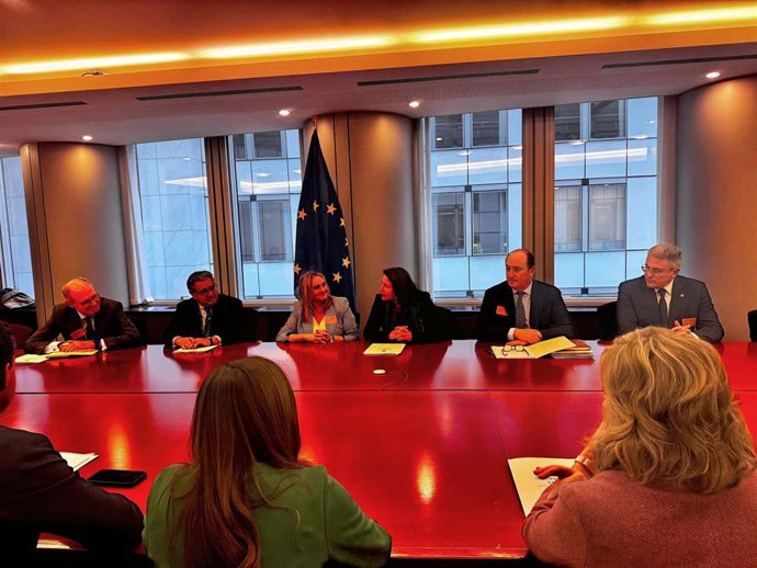 Reunión de la alcaldesa de Granada, Marifrán Carazo, en Bruselas con la participación de europarlamentarios del PP