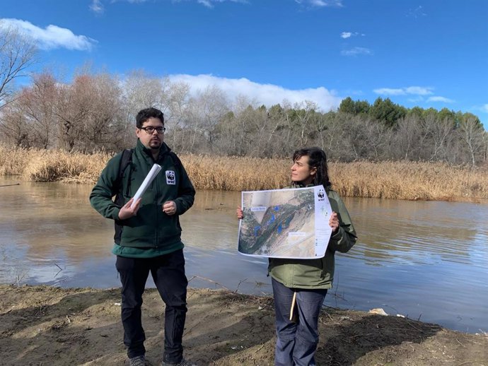 WWF España y Sanitas presentan a los medios los avances conseguidos con la restauración del humedal de Las Islillas, en el Parque Regional del Sureste de Madrid