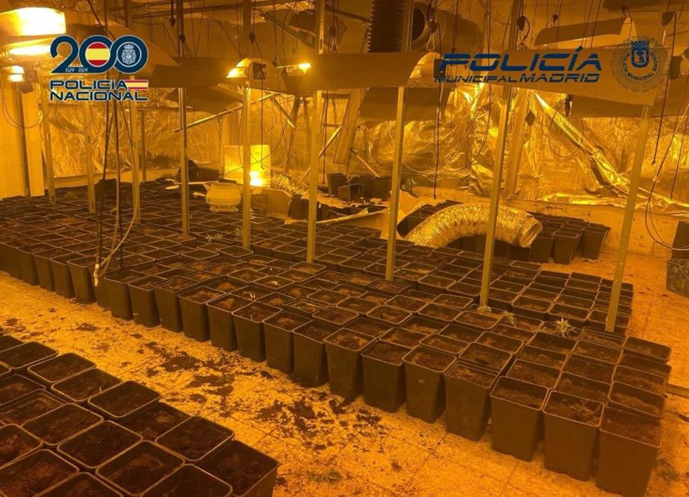 Desmantelado un punto de plantación de marihuana indoor en la Cañada Real Galiana