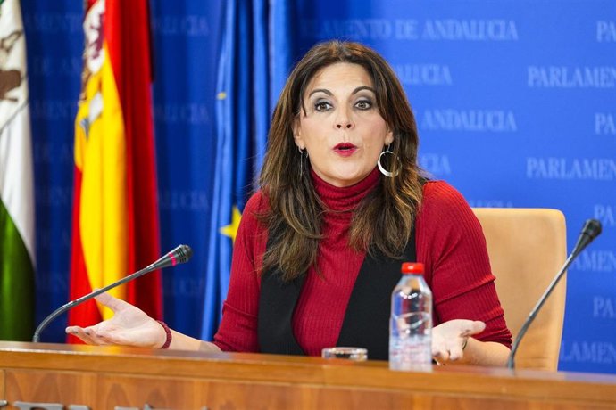 La portavoz del Grupo Parlamentario Socialista, Ángeles Férriz, este miércoles en rueda de prensa.