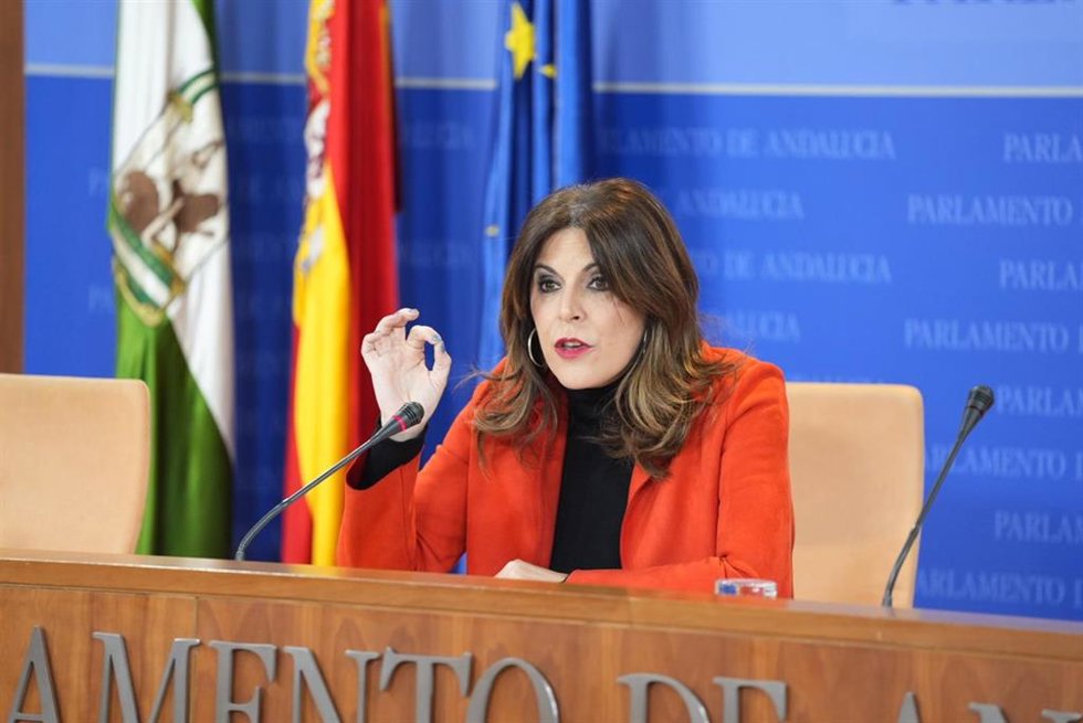 La portavoz del Grupo Socialista, Ángeles Férriz, este miércoles en rueda de prensa.