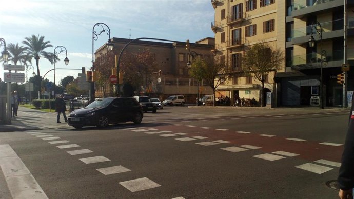 Archivo - Paseo Mallorca de Palma.