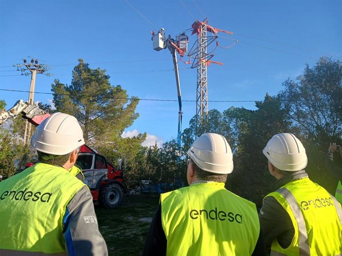 Endesa realiza un plan de actuaciones para adaptar las líneas eléctricas a la protección de la avifauna balear