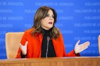 PSOE-A y Adelante piden la dimisión del delegado de Educación de la Junta tras quejas de AMPAs