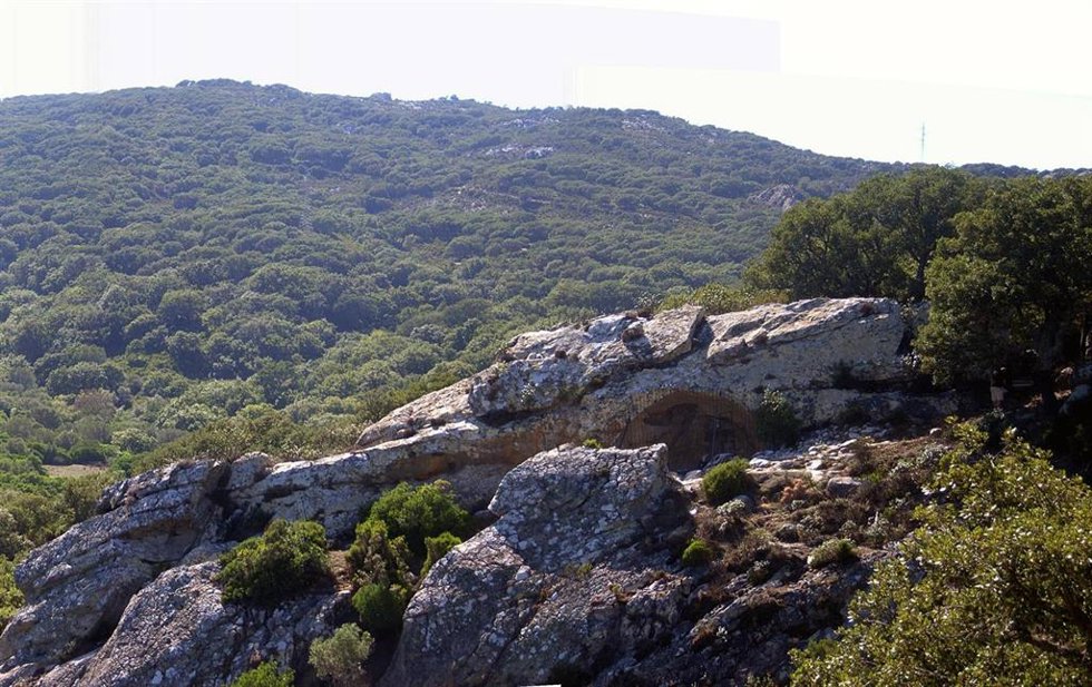 Entorno de Laja Alta