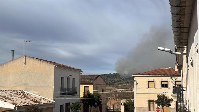 Vista de l'incendi forestal de l'Alguenya  a les 13.00 hores del dimecres 29 de gener del 2025.